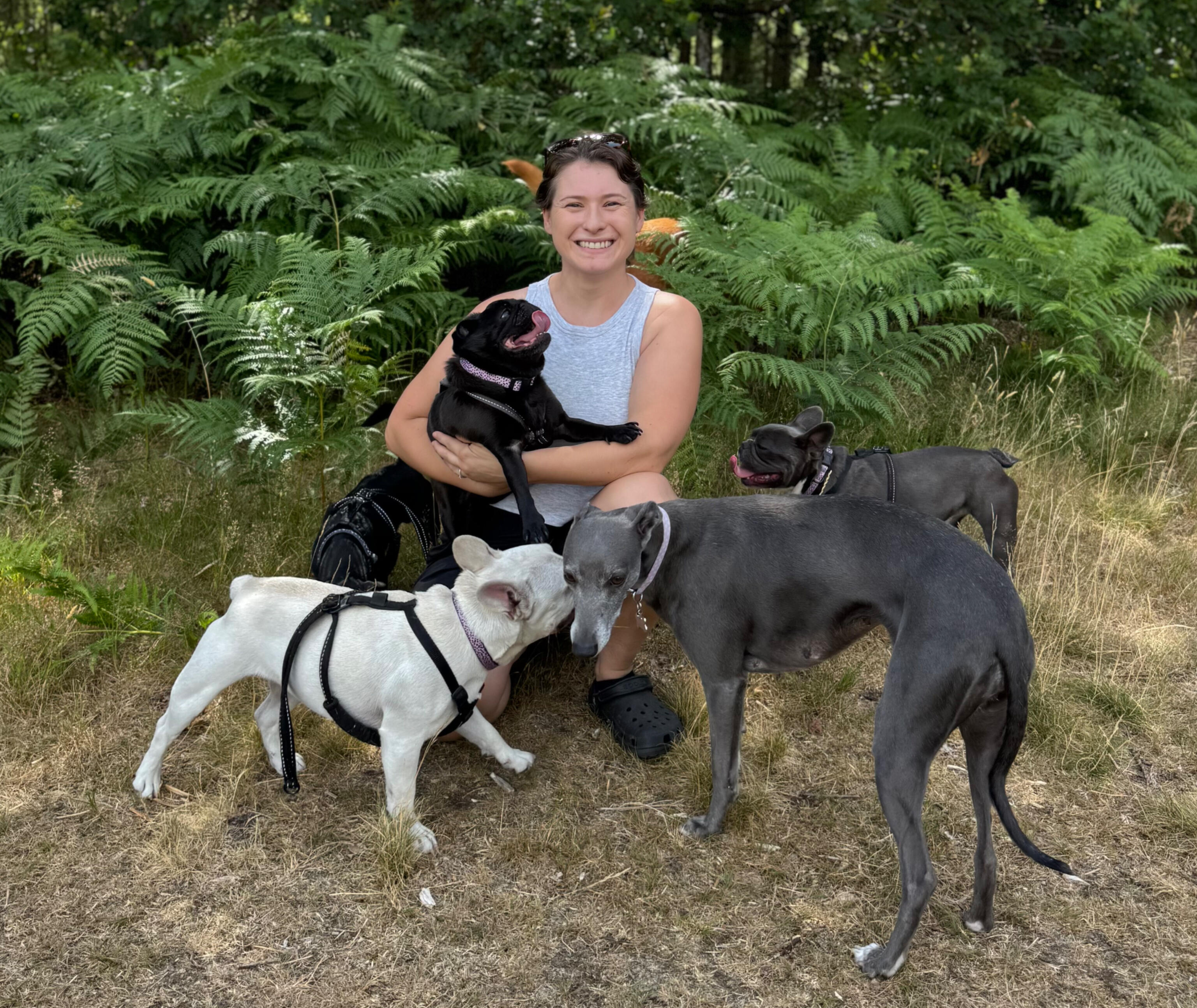 GeoPaws secure-field dog walker with dogs in Camberley