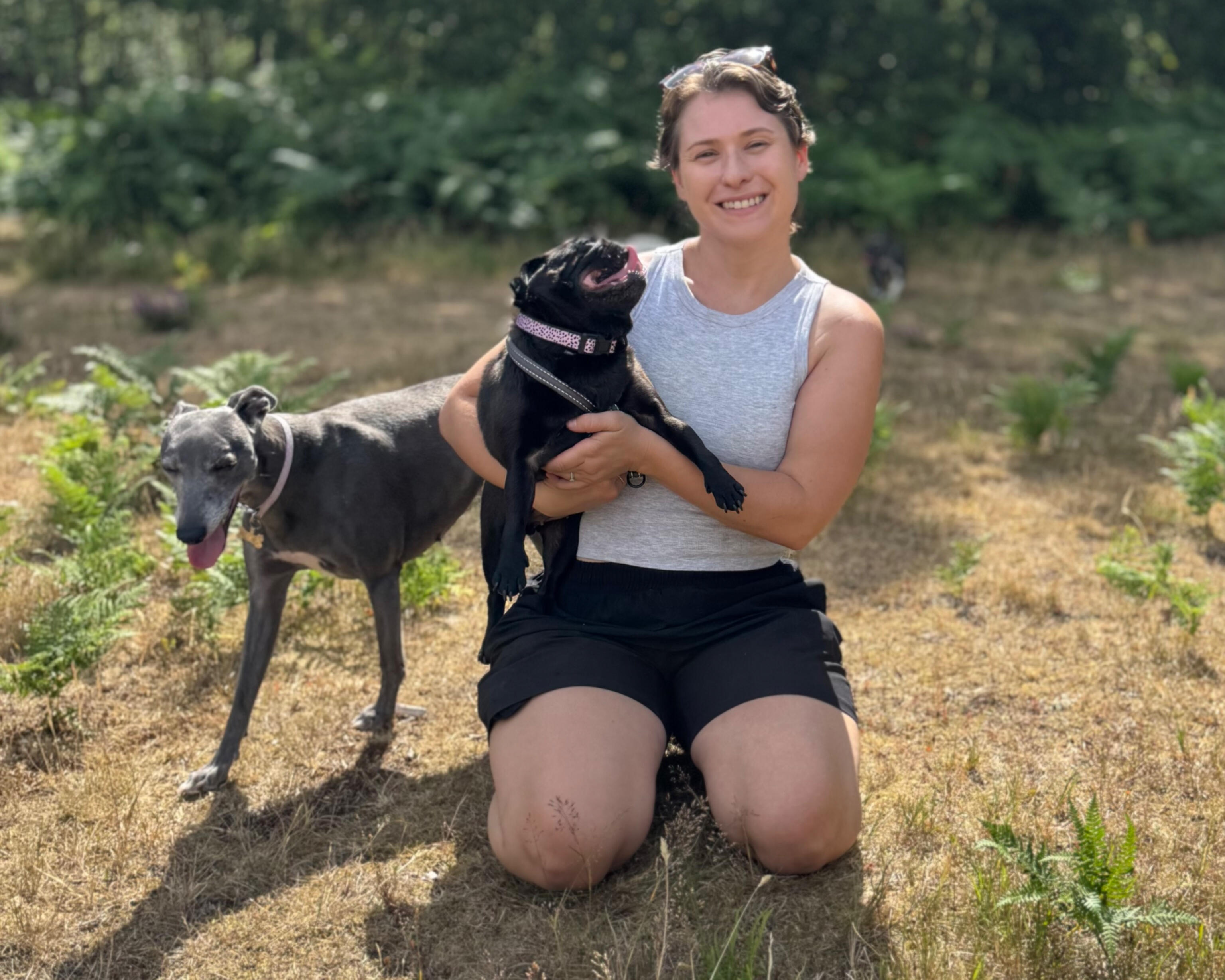 GeoPaws secure-field dog walker with dogs in Frimley